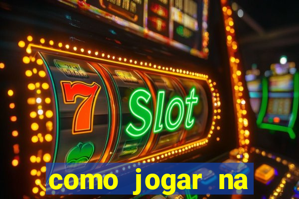 como jogar na lotinha do jogo do bicho